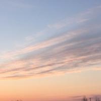 疯狂的小鸟361头像