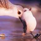 alan就是我65245的个人资料头像