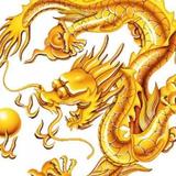 陆家乔头像