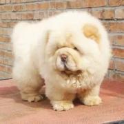 正面侧面的个人资料头像