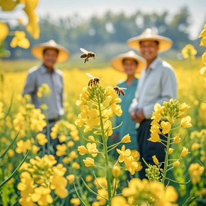 三农话蜂头像