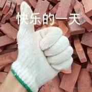 v张富贵v的个人资料头像