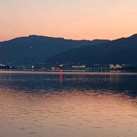 阿洋零食精选头像