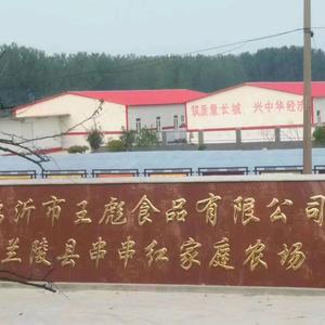 正宗长城辣椒，老酱头像
