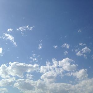 山上的风头像
