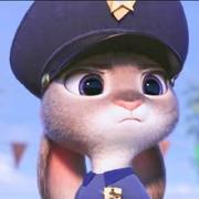 杨传伟的个人资料头像