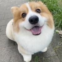 请叫我章皮皮头像