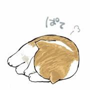 AYAO的个人资料头像