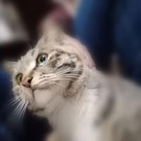 热情辰星LJq头像