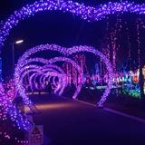 且行且珍惜65847头像
