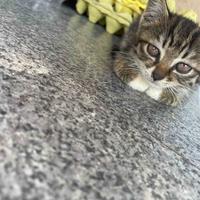 用户7965670303343头像