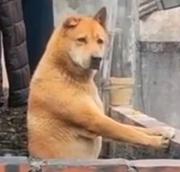 用户9844333414296的个人资料头像