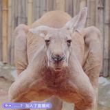 识趣头像