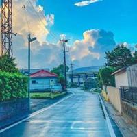 分秒必争蜻蜓kU头像