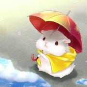 zhangzhao219的个人资料头像