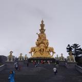 开朗大方小苹果626头像