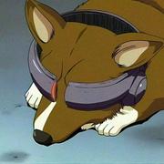 断水流Da师兄的个人资料头像