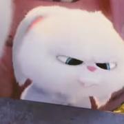 流枫262的个人资料头像