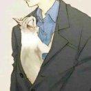 打瞌睡的猫男的个人资料头像