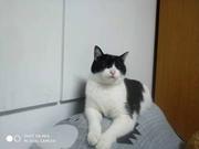 jackLi的个人资料头像