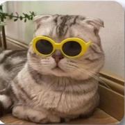 会吐泡泡的小龙鱼的个人资料头像