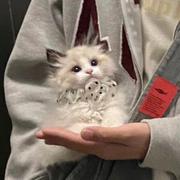 Bubblyyy的个人资料头像