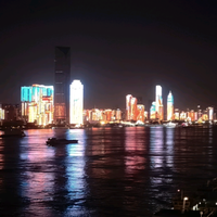 烟花三月是只猫头像