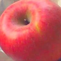 沙漠里的歪脖子树头像