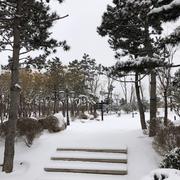 caipy的个人资料头像
