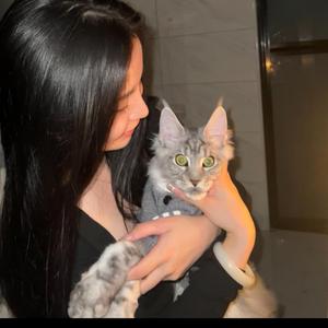 财神爷的小宝贝酸