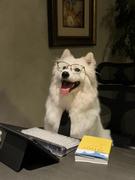 时光机器人的个人资料头像