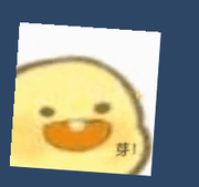 佳佳酱的个人资料头像