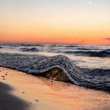 TMD暱稱太難整了头像