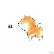 浅没的个人资料头像