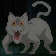 streetlime的个人资料头像