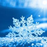 小雪雪头像