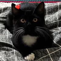 用户6190611999319头像