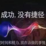 鲁南战队头像