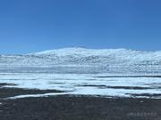 爱喝北冰洋的个人资料头像