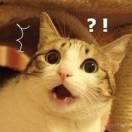 虚幻的光的个人资料头像