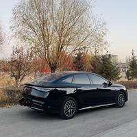 方方的小海豹头像