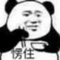 皮皮成员头像