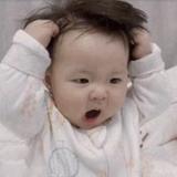 随缘的胖胖头像