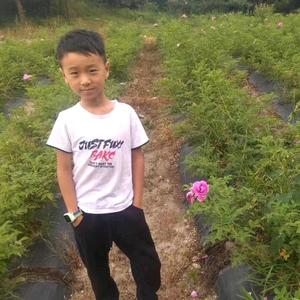 命中注定8NMy头像