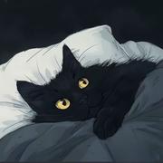 只吃胡萝波的个人资料头像