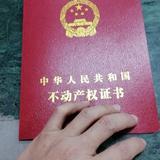 儒雅金桔l头像