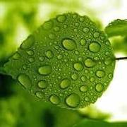 耕耘542的个人资料头像