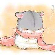 Defier的个人资料头像