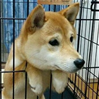 feature_的个人资料头像