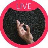 洒脱钢琴97l头像